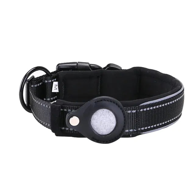 anti theft dog collar