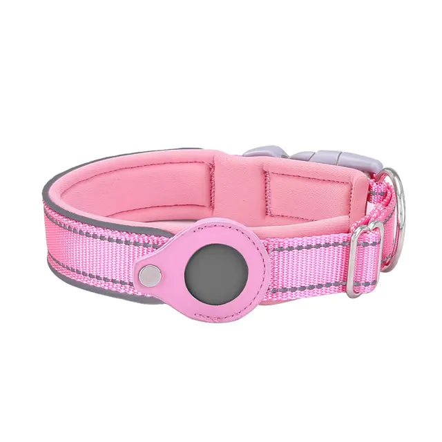 anti theft dog collar