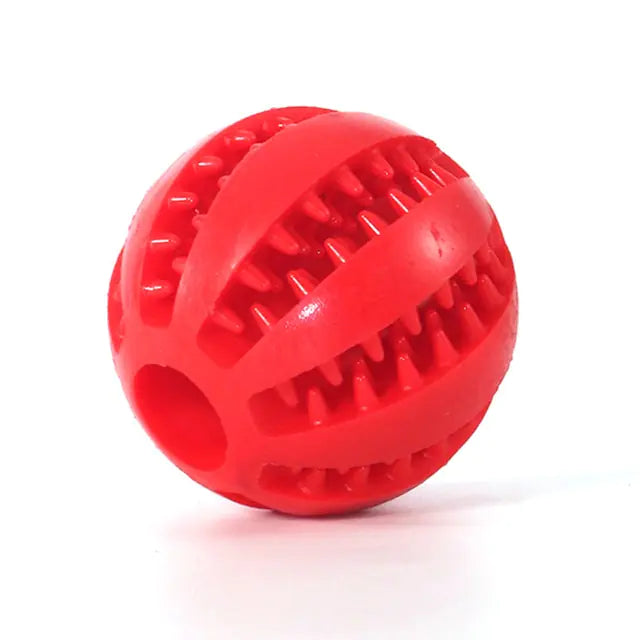 dog chewing ball