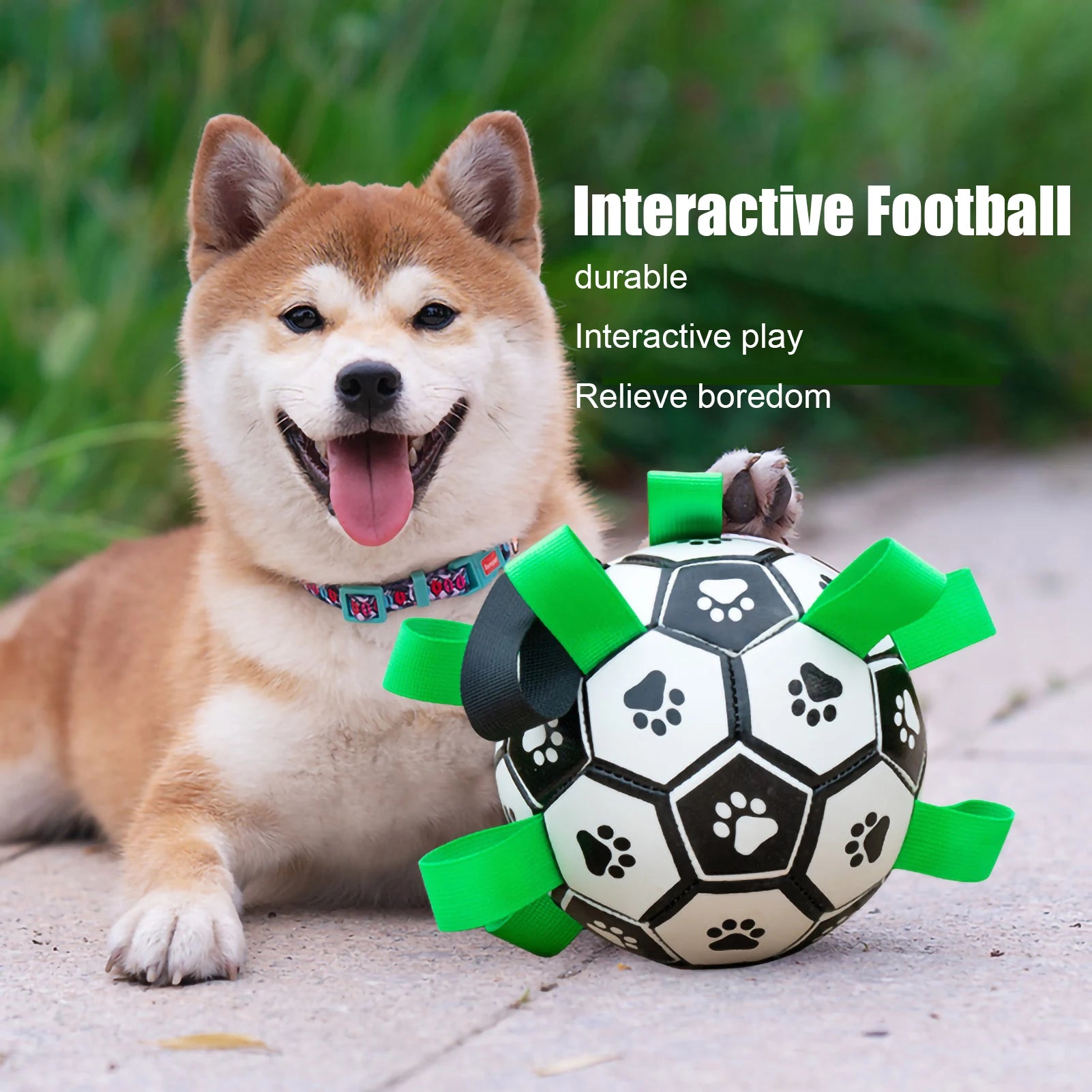 Dog Soccer Ball