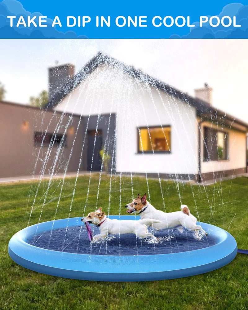 Dog Splash Pad