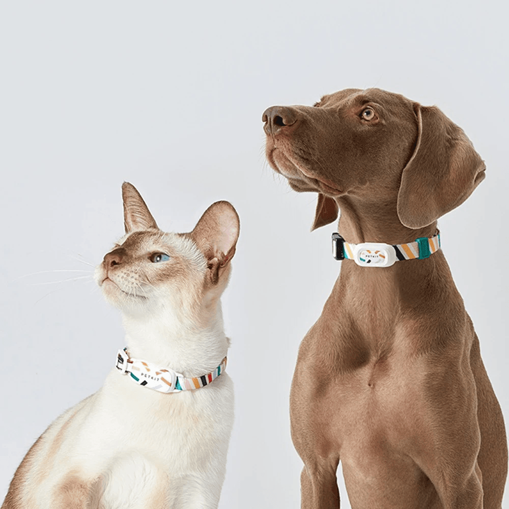 GPS Pet Collar