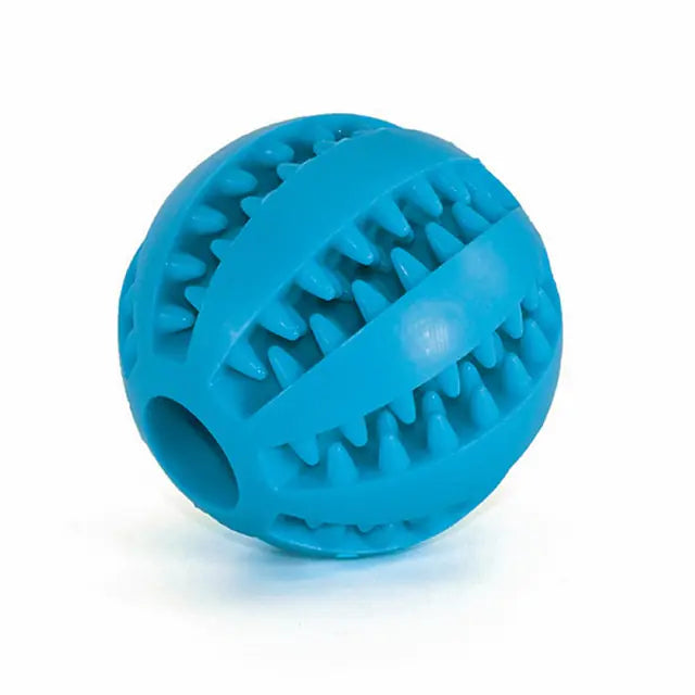 dog chewing ball