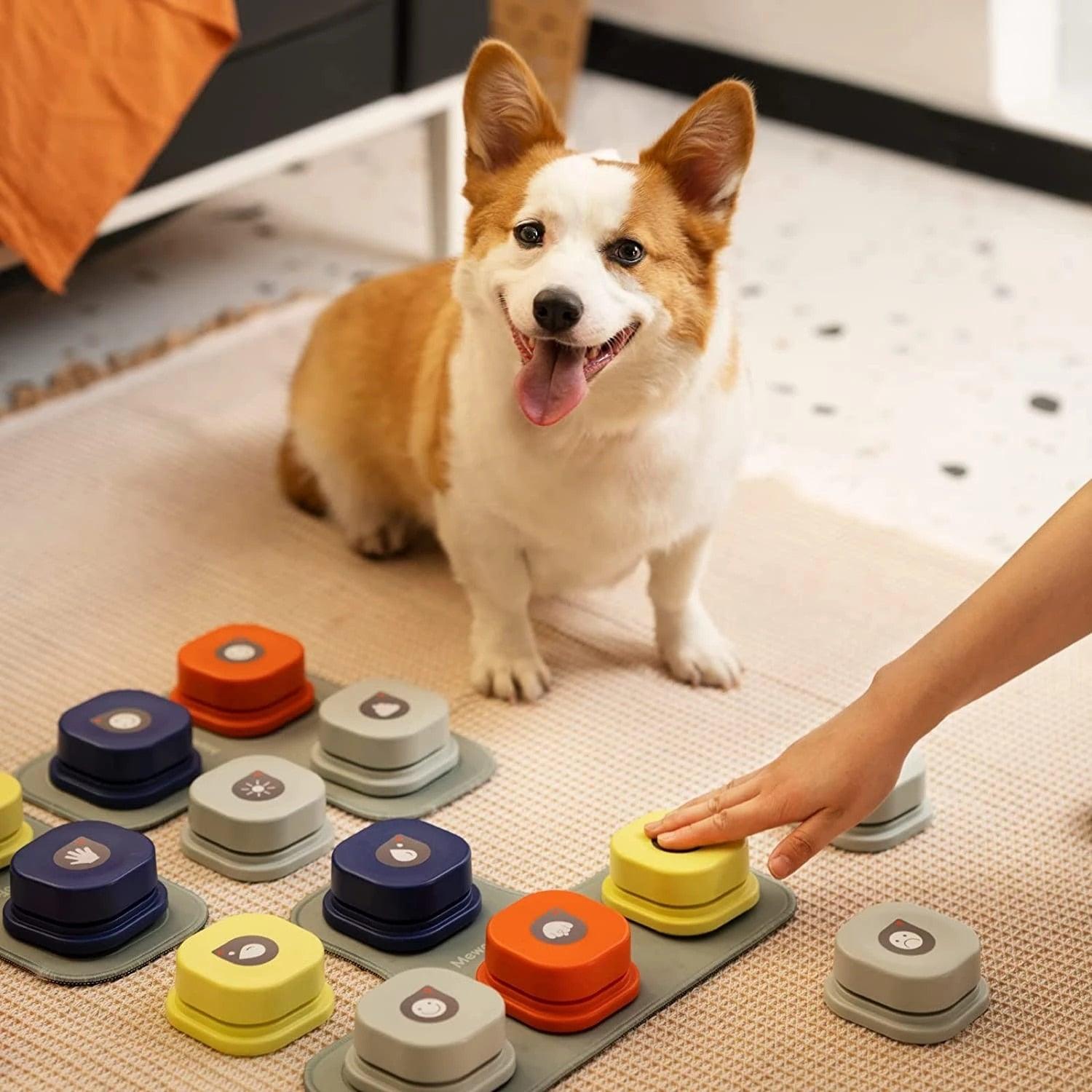 best dog communication buttons