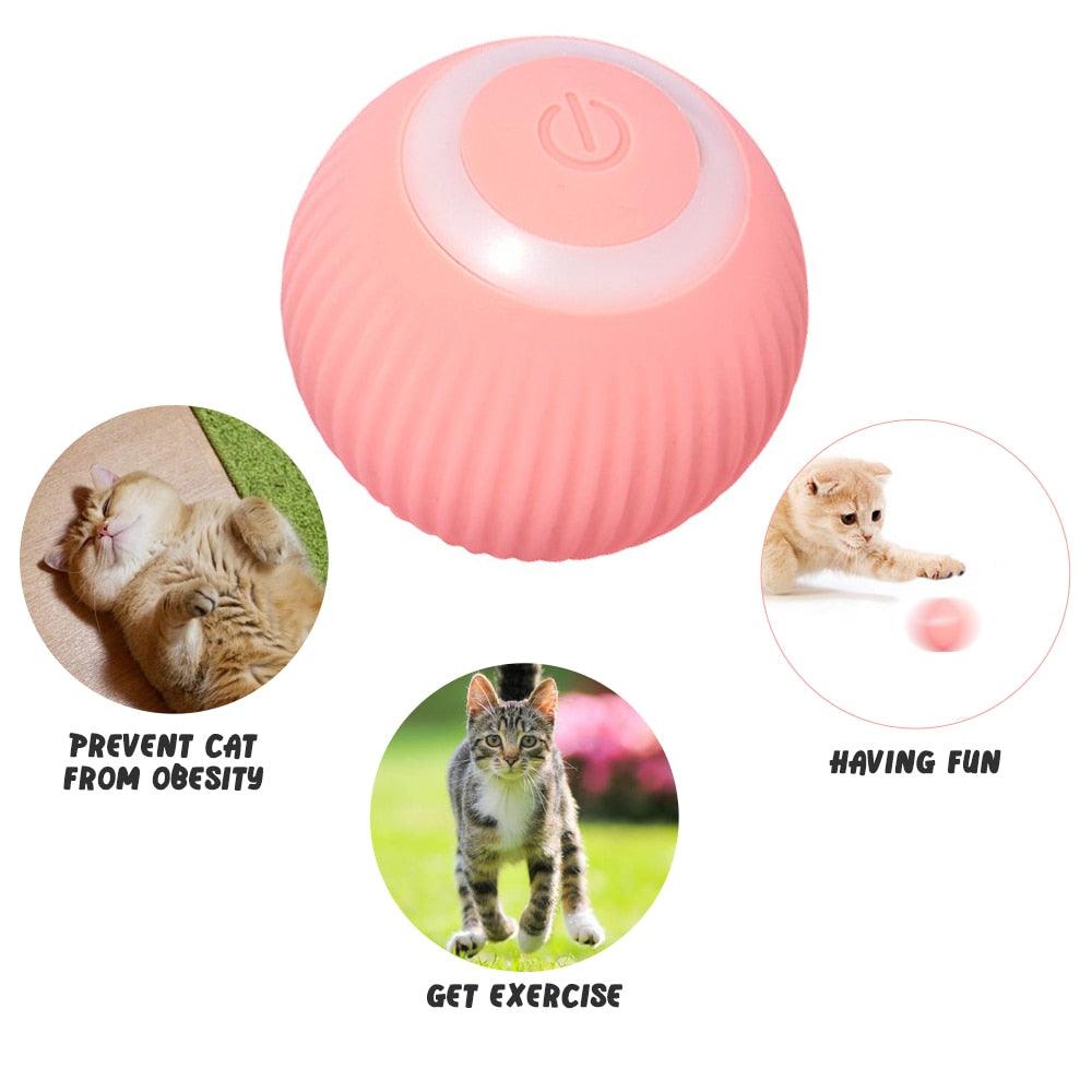 pet ball