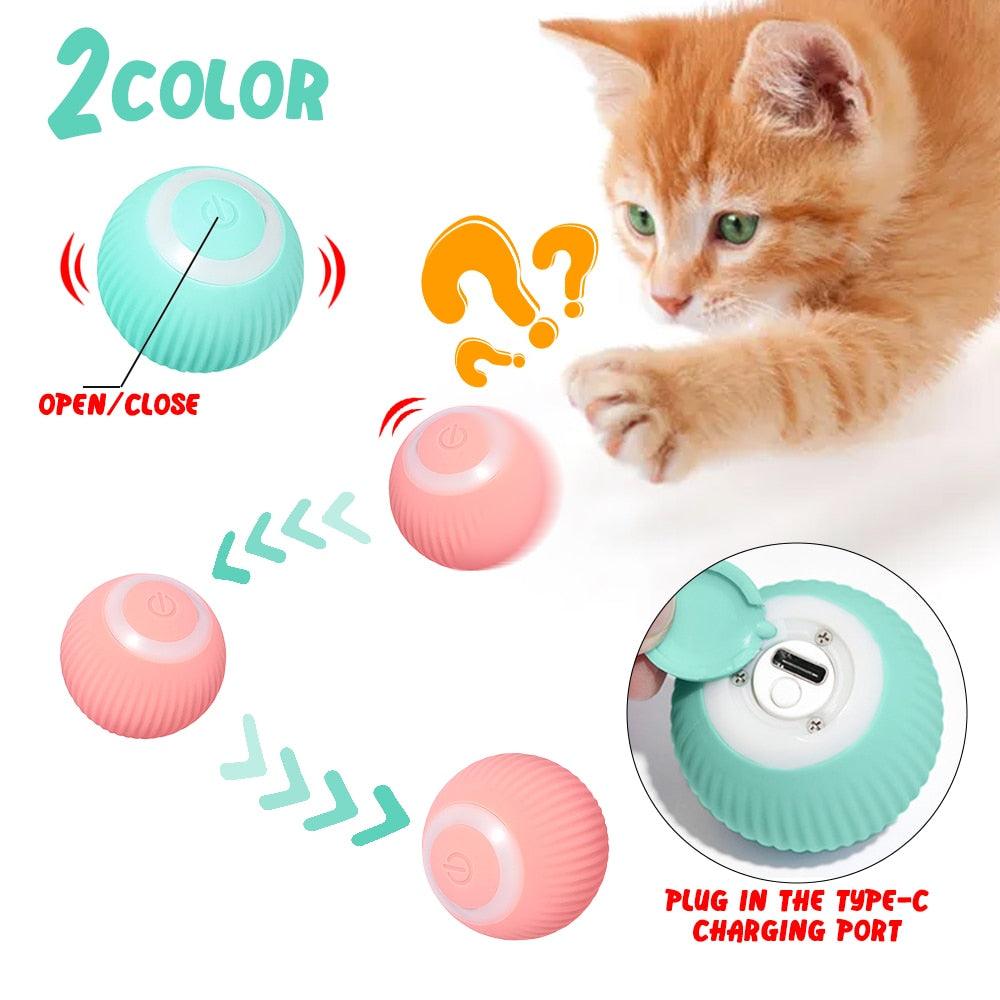 Cat Balls