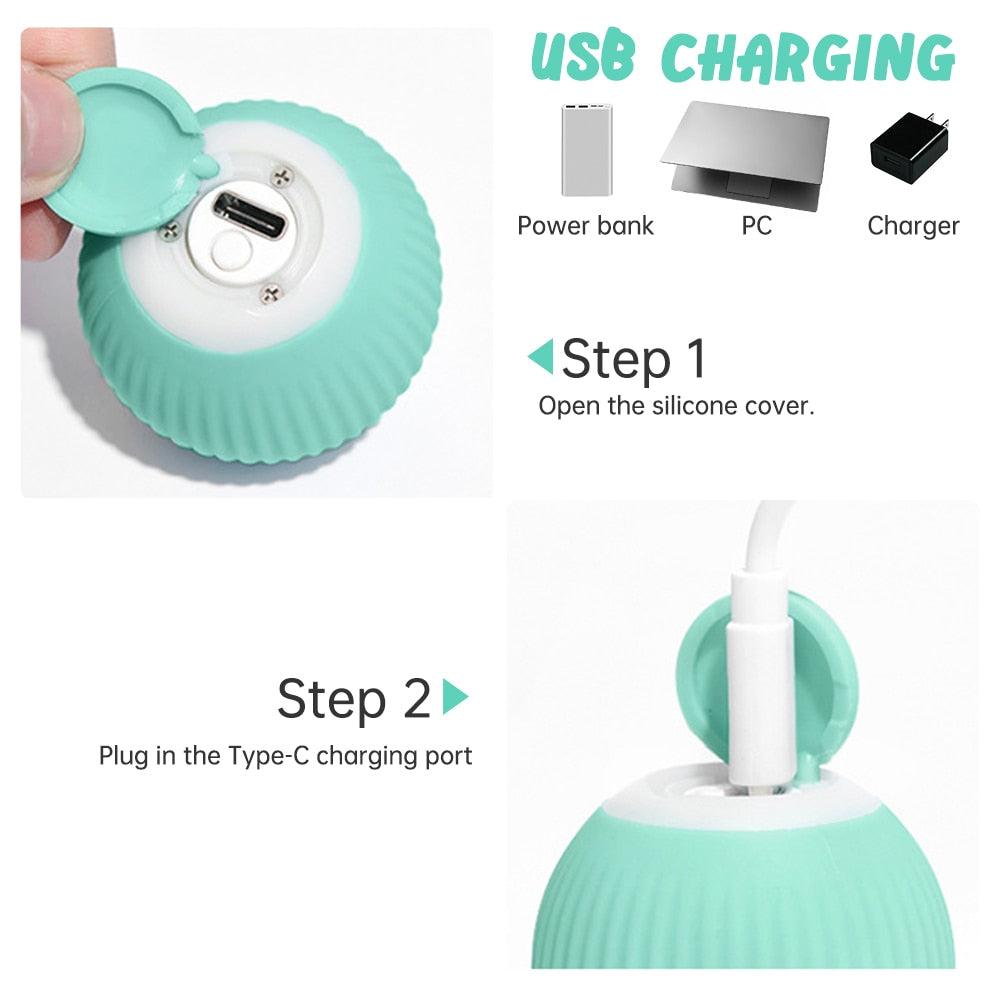 automatically move pet ball