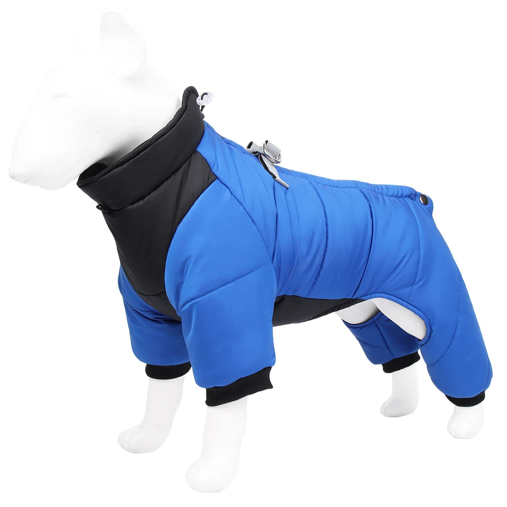Winter Dog Jackets