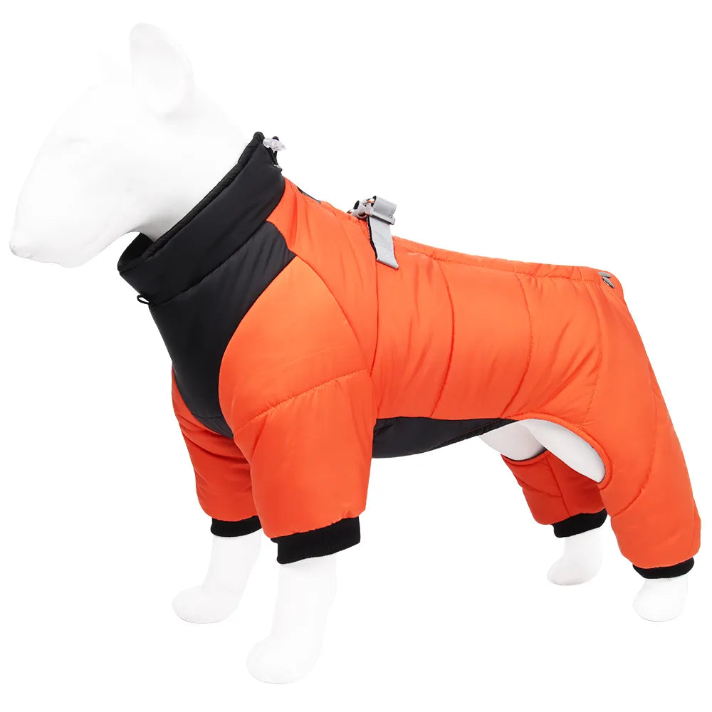 Winter Dog Jacket