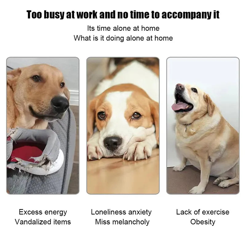 Dog Automatic Ball Launcher