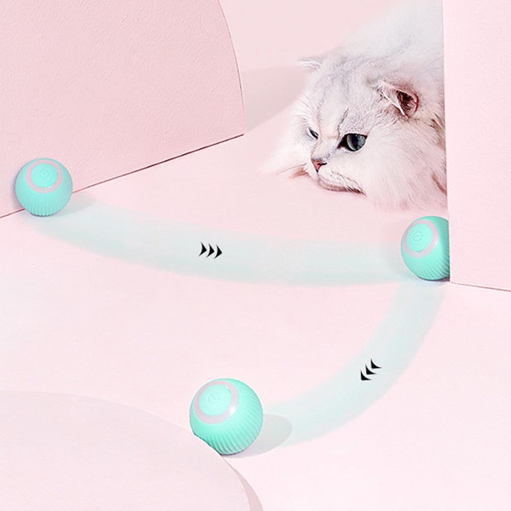 Cat Ball
