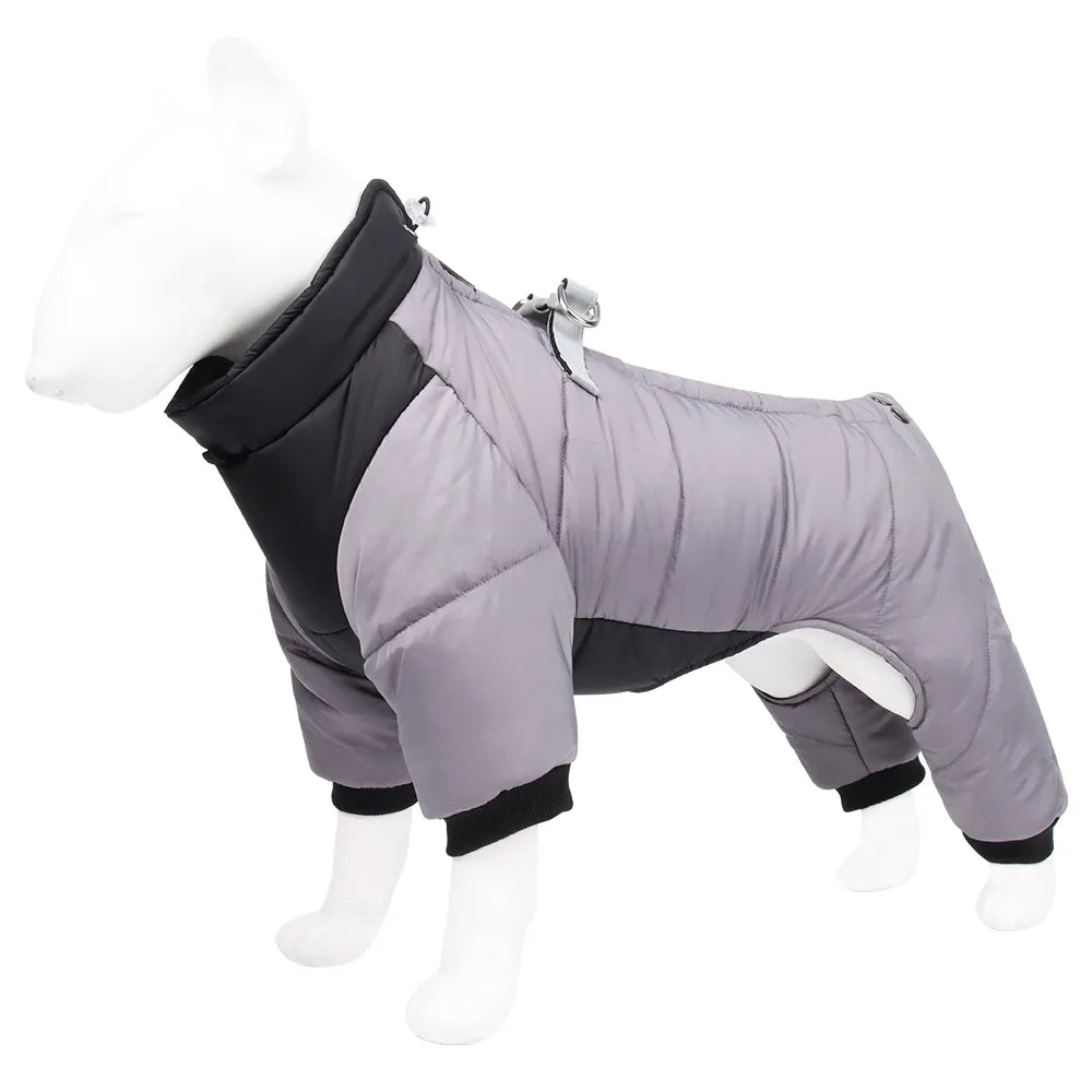 Dog Coat