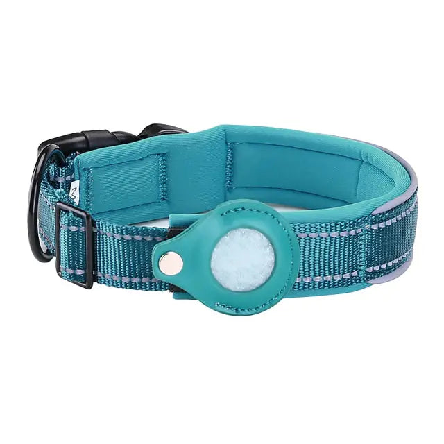 anti theft dog collar