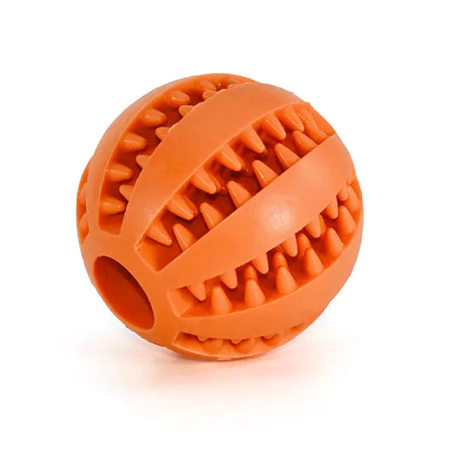 dog chewing ball