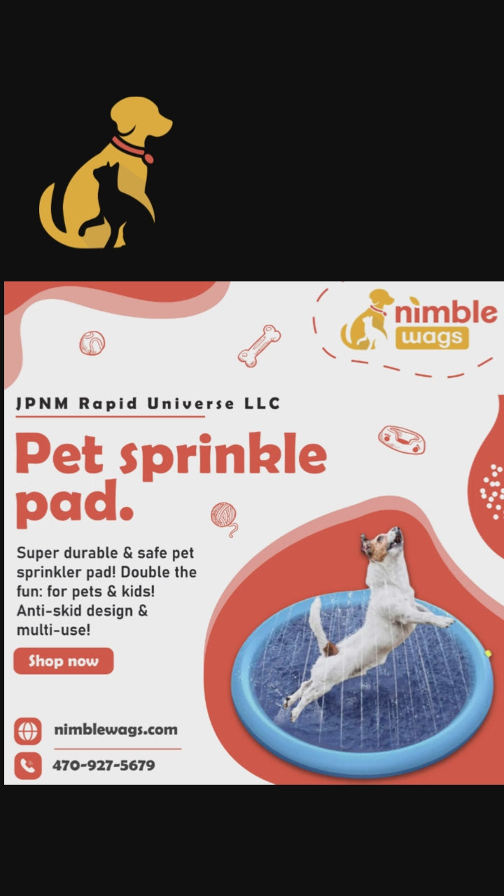Dog Splash Pad