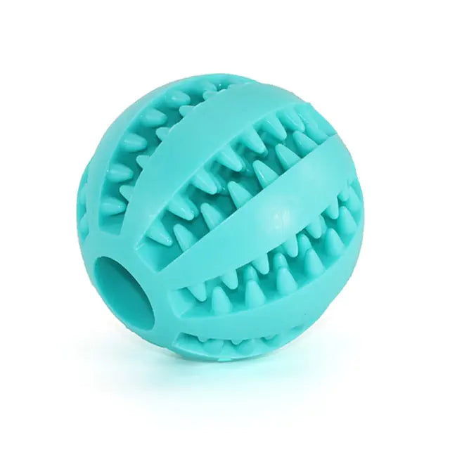 dog chewing ball