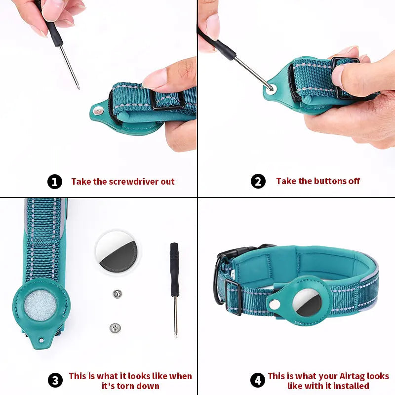 anti theft dog collar