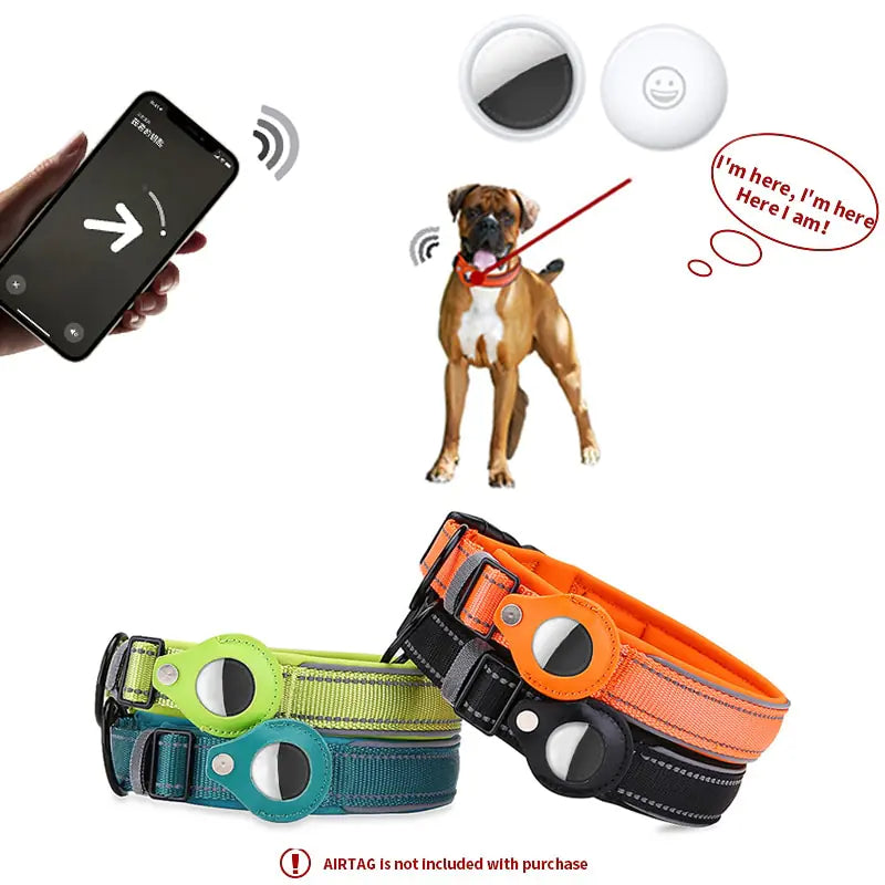 anti theft dog collar