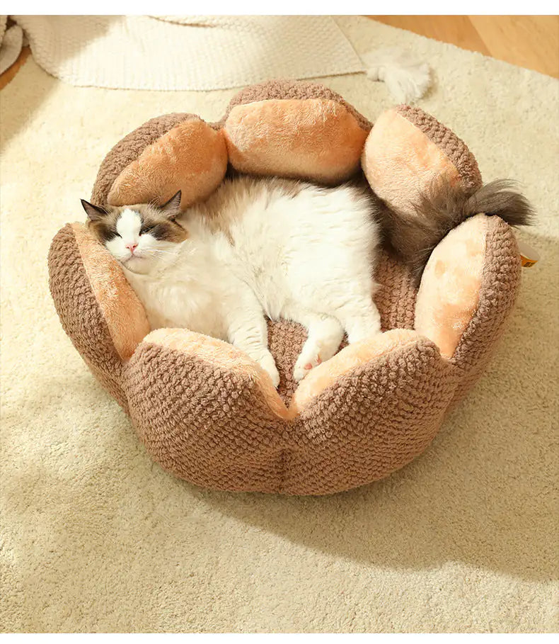 Cat Bed