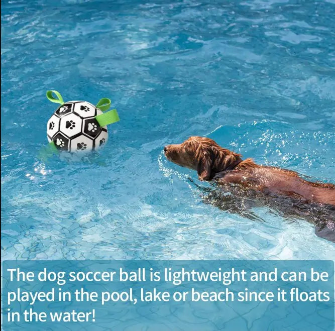 Jolly Soccer Ball