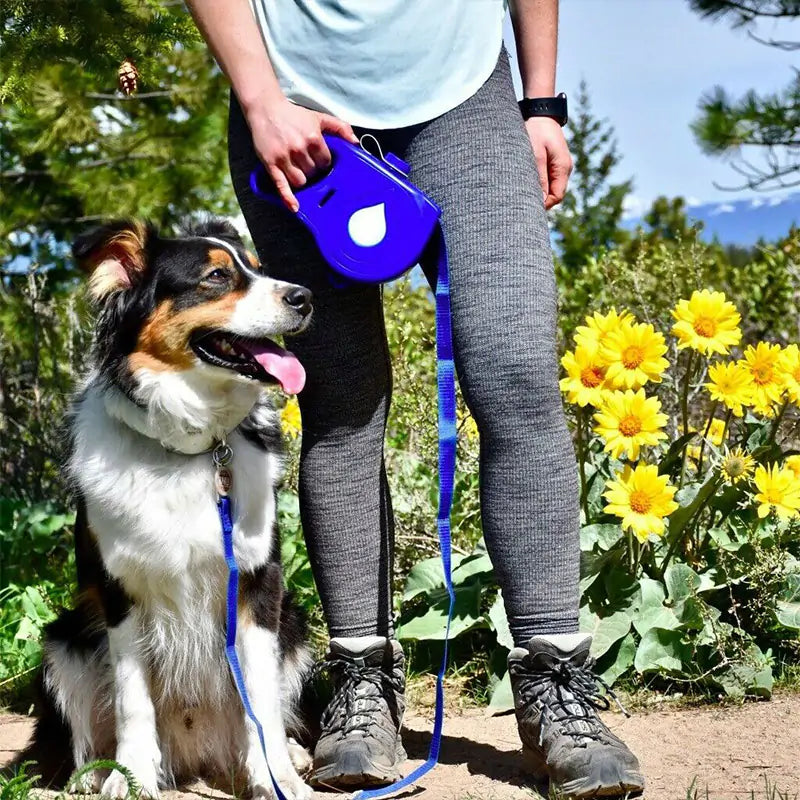 Multi-function Dog Leash