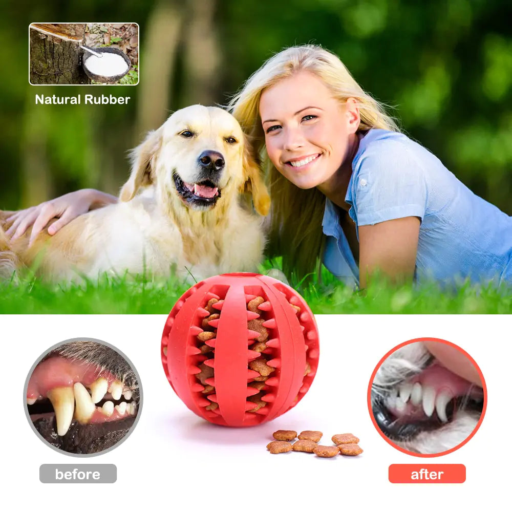 dog chewing ball