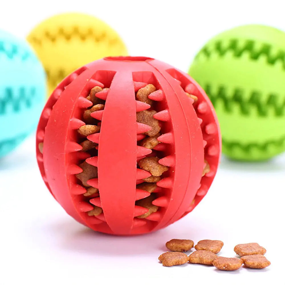dog chewing ball