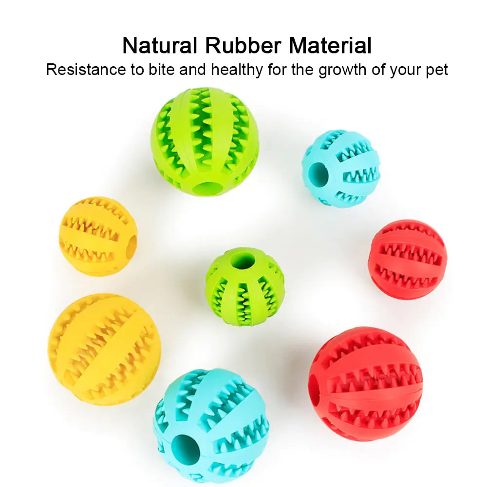 dog chew ball