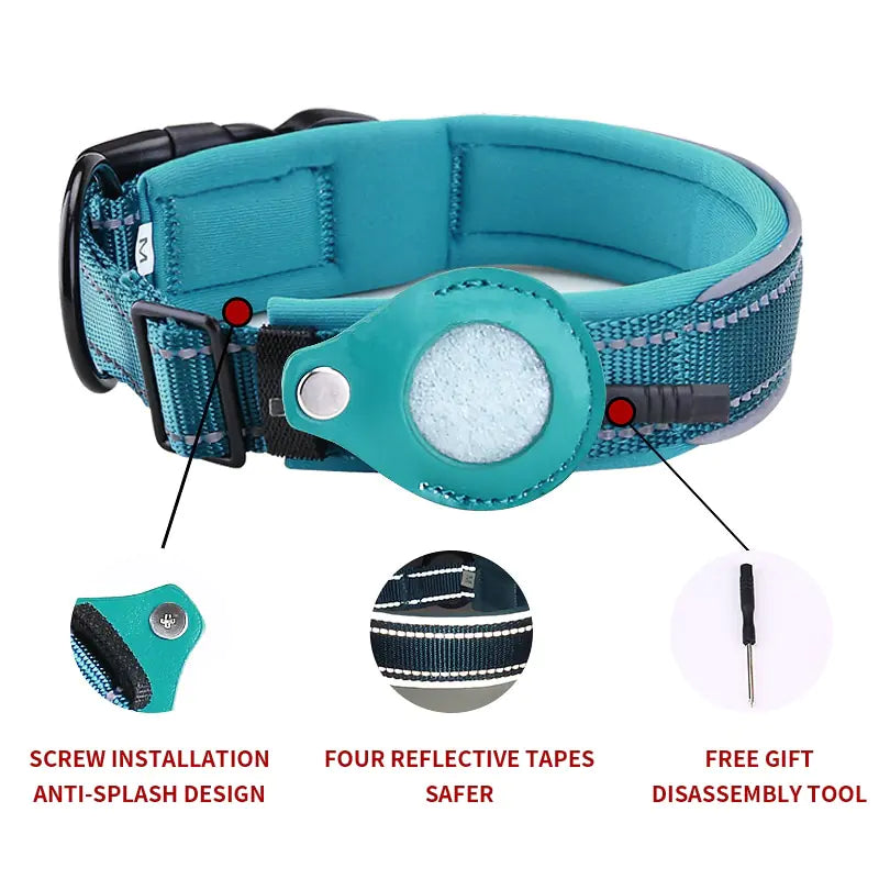 anti theft dog collar