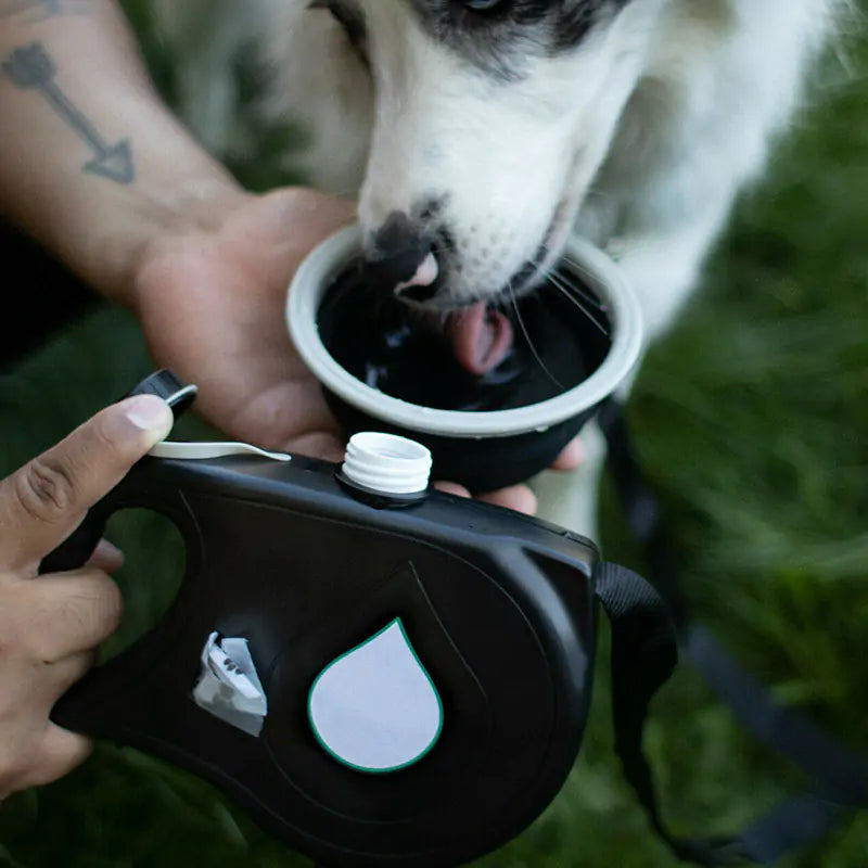 Multi-function Dog Leash