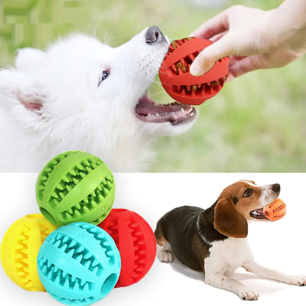 dog chewing ball