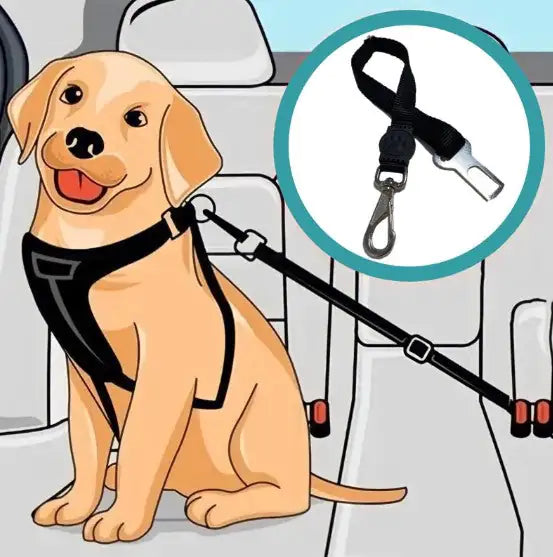 Dog Car Seat Belt