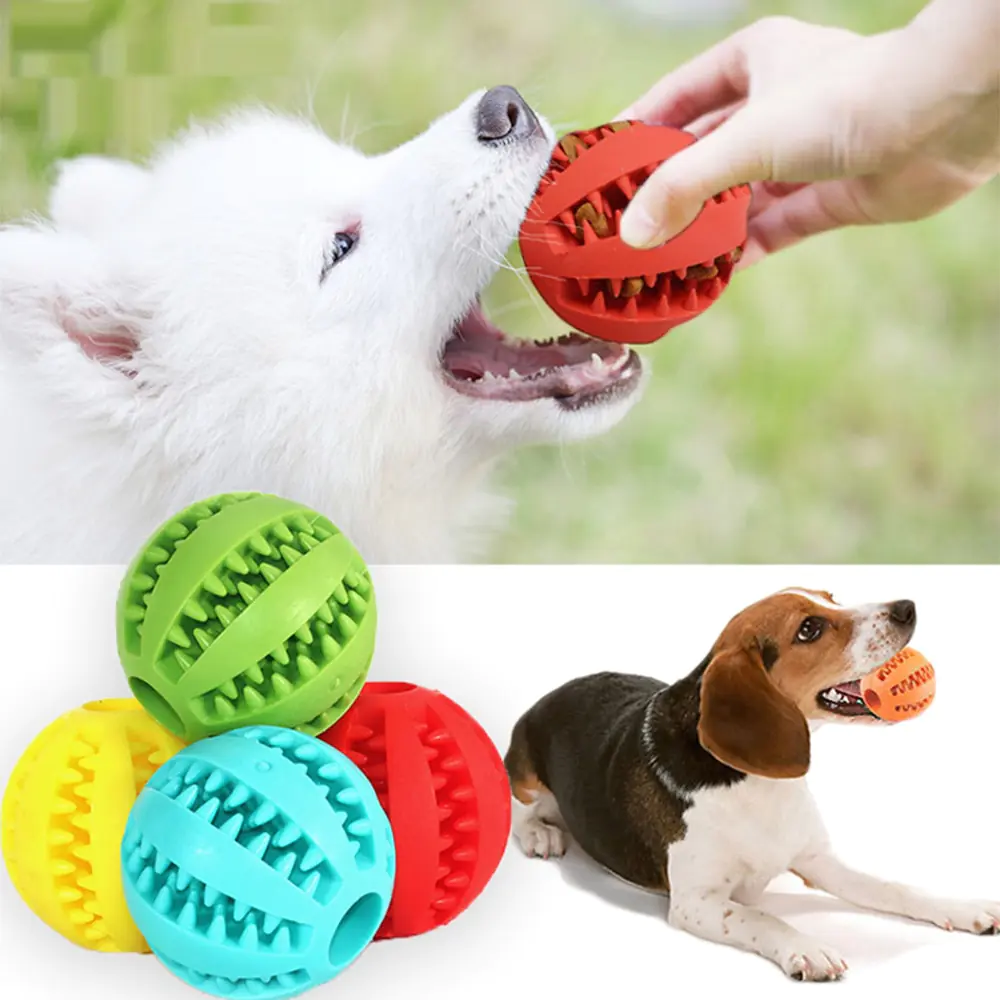 Dog Chewing Balls