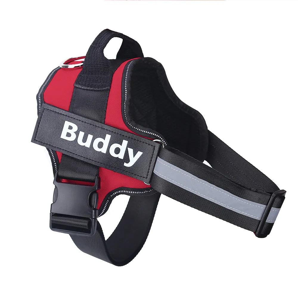 custom dog name harness