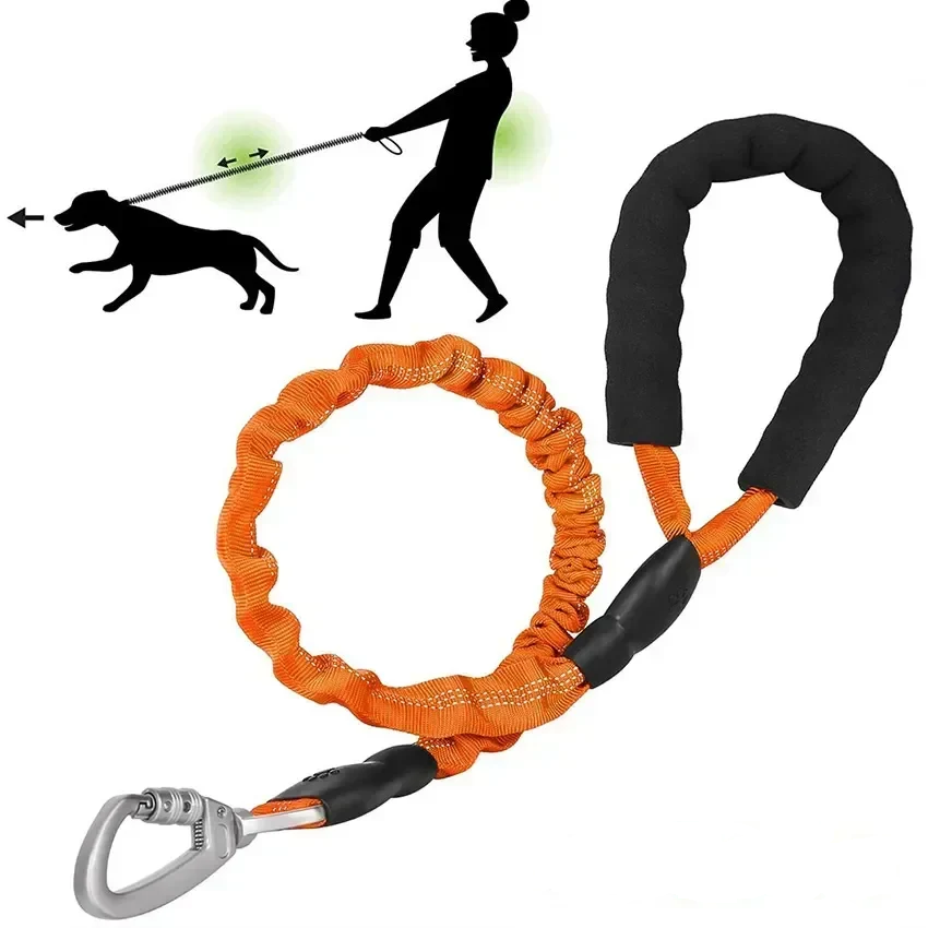 Dog Leash Reflective