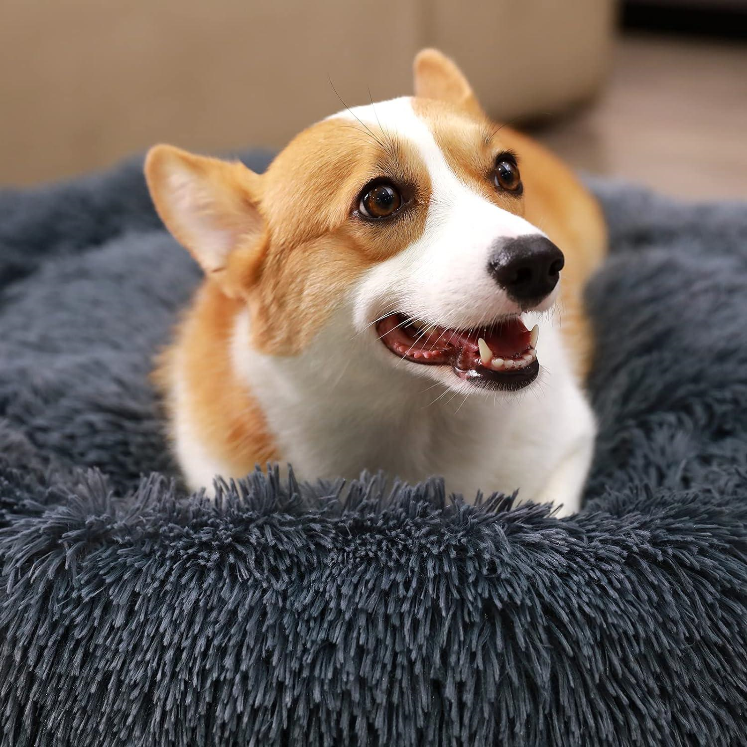 Round beds for Dogs