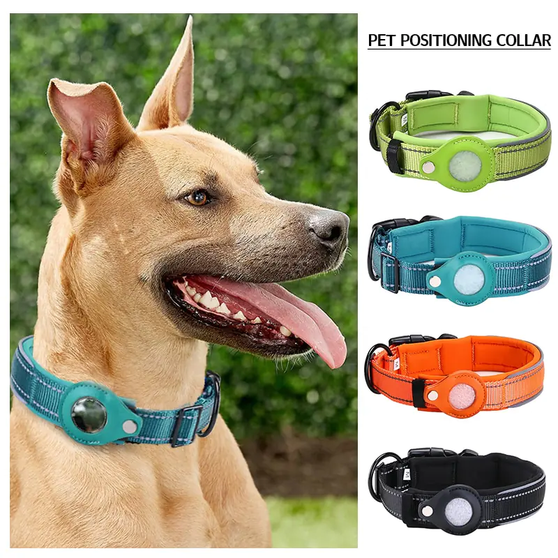 Anti Theft Dog Collar