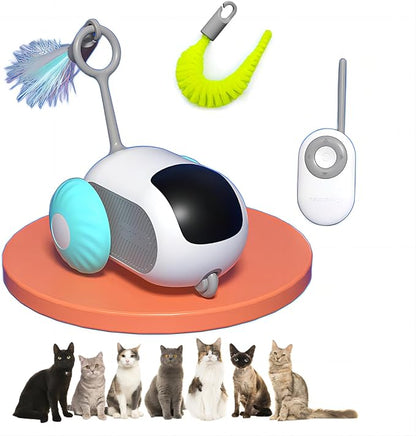 Remote Controlled Cat Toy