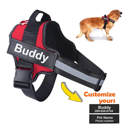 Custom no pull dog harness