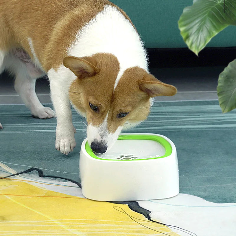 Floating Pet Water Bowl - Nimble Wags | Pet Accessories Shop