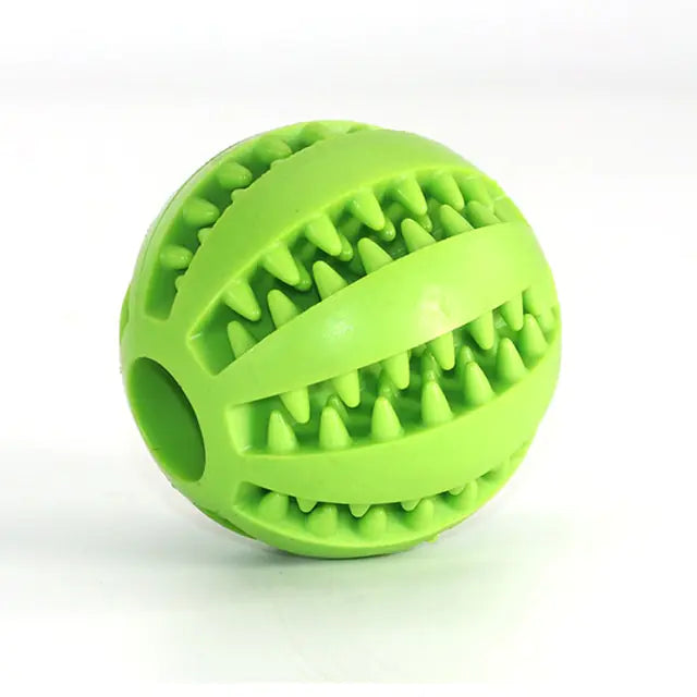 dog chewing ball