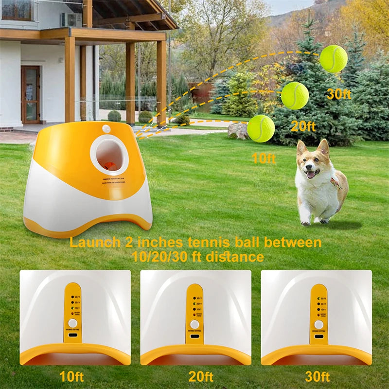 Automatic ball launcher for large dogs