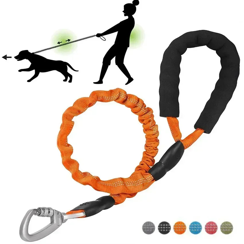 Dog Leash Luminous