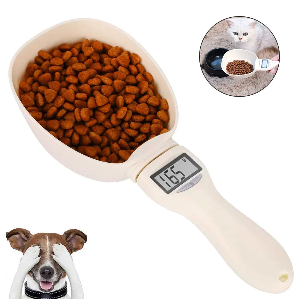 Dog Food Cup