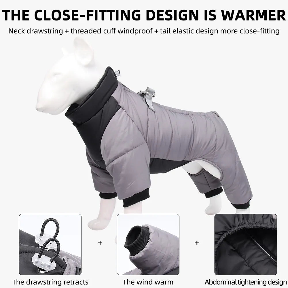 Winter Dog Coats