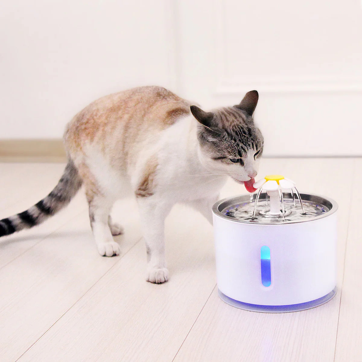 Automatic Cat Water Fountain 2.4 L - Water Dispenser for Cats &amp; Dogs