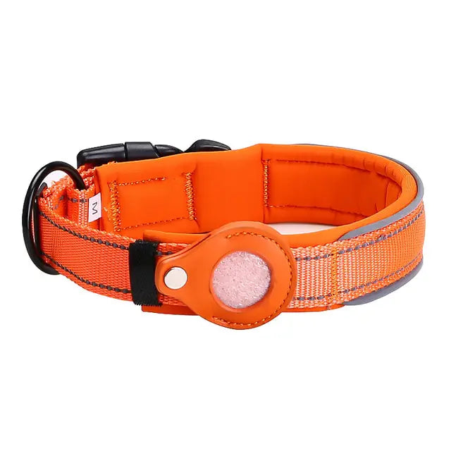 anti theft dog collar