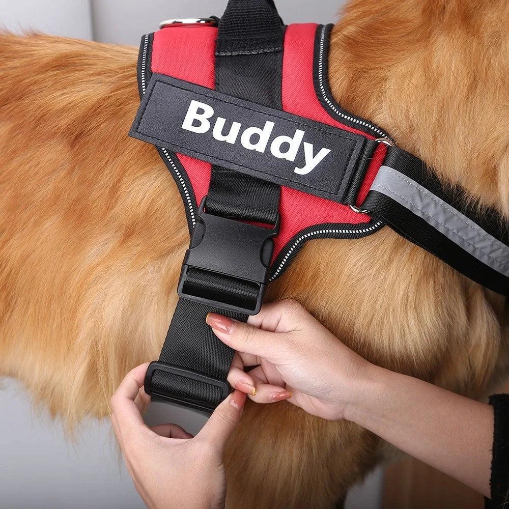 custom dog name harness