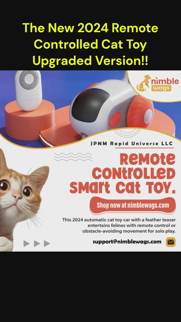 Remote Controlled Cat Toy