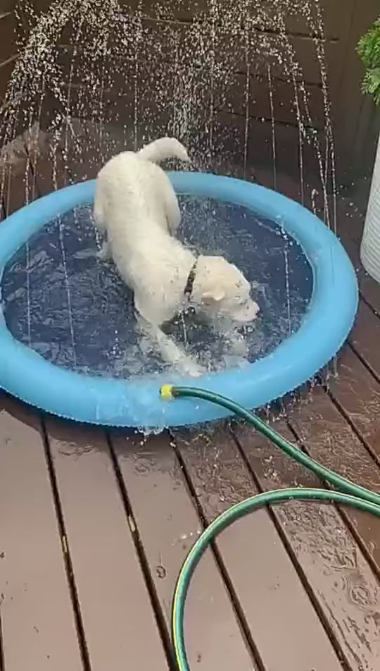 Dog Splash Pad